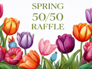 Missouri Council of the Blind – Seeing the World in a Different Light